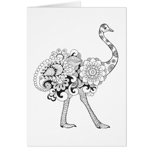Inspired Ostrich Cards (Front)