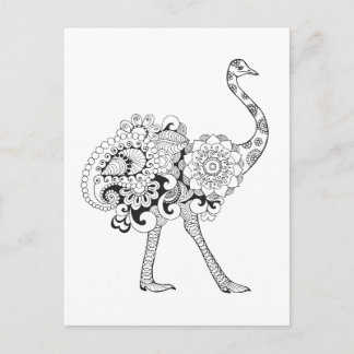 Inspired Ostrich Postcard