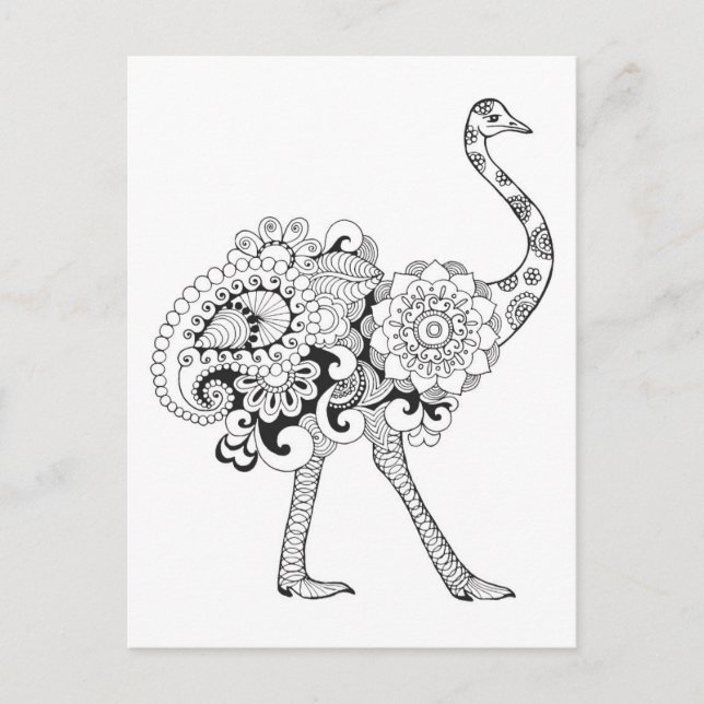 Inspired Ostrich Postcard (Front)