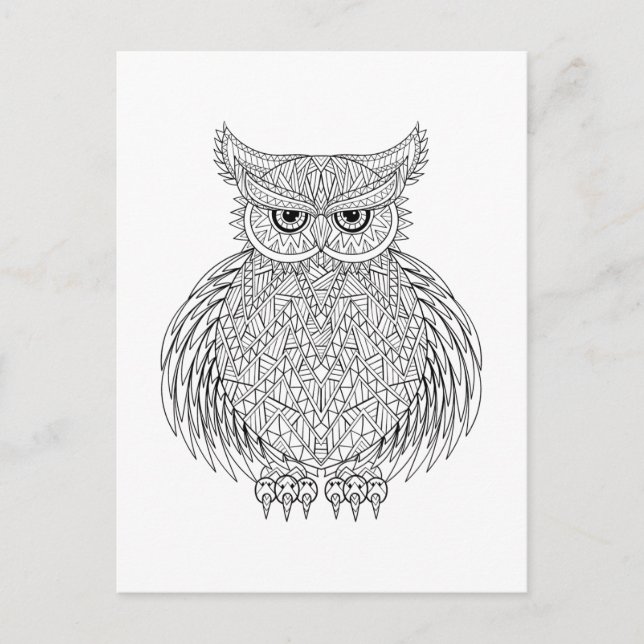 Inspired Owl Bird Totem Postcard (Front)