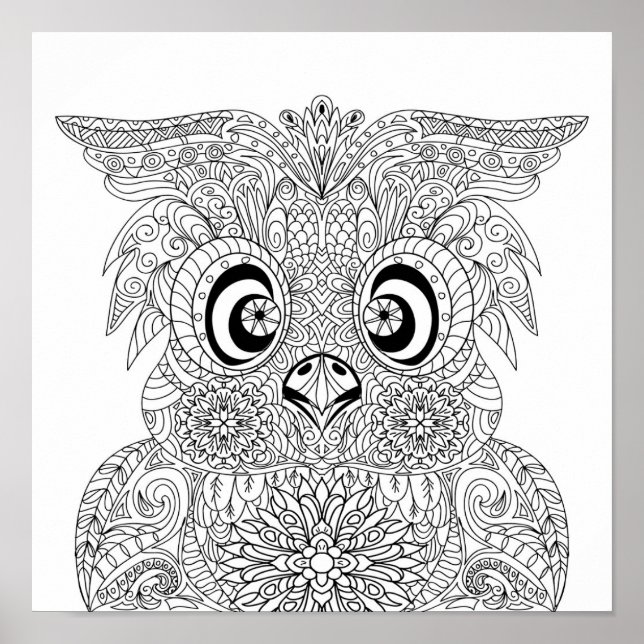 Inspired Owl Portrait 2 Poster (Front)