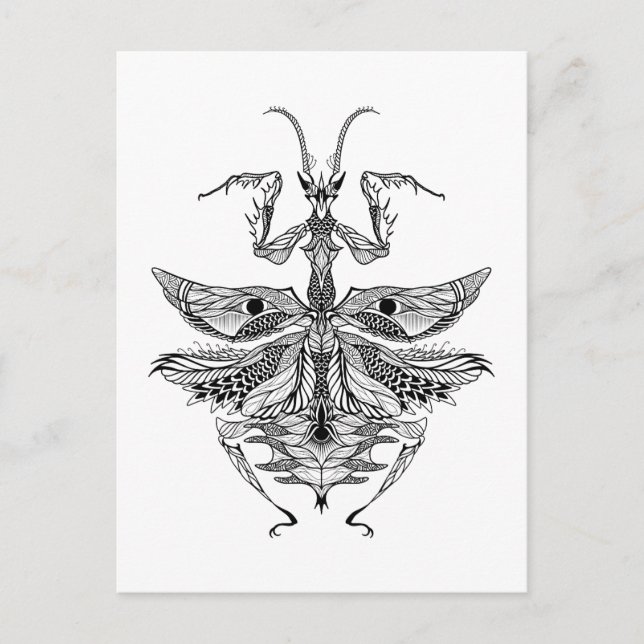 Inspired Praying Mantis Postcard (Front)