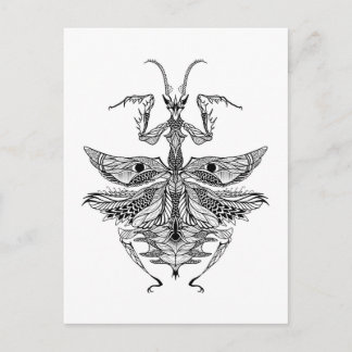 Inspired Praying Mantis Postcard