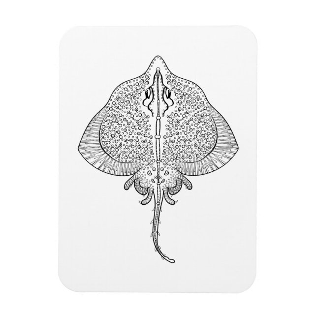 Inspired Stingray Totem Magnet (Vertical)
