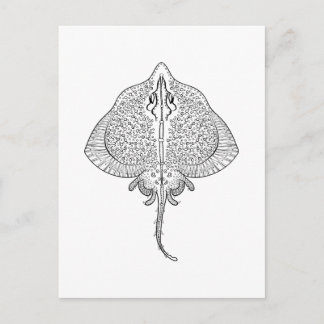 Inspired Stingray Totem Postcard