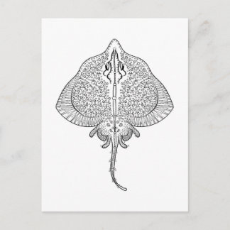Inspired Stingray Totem Postcard