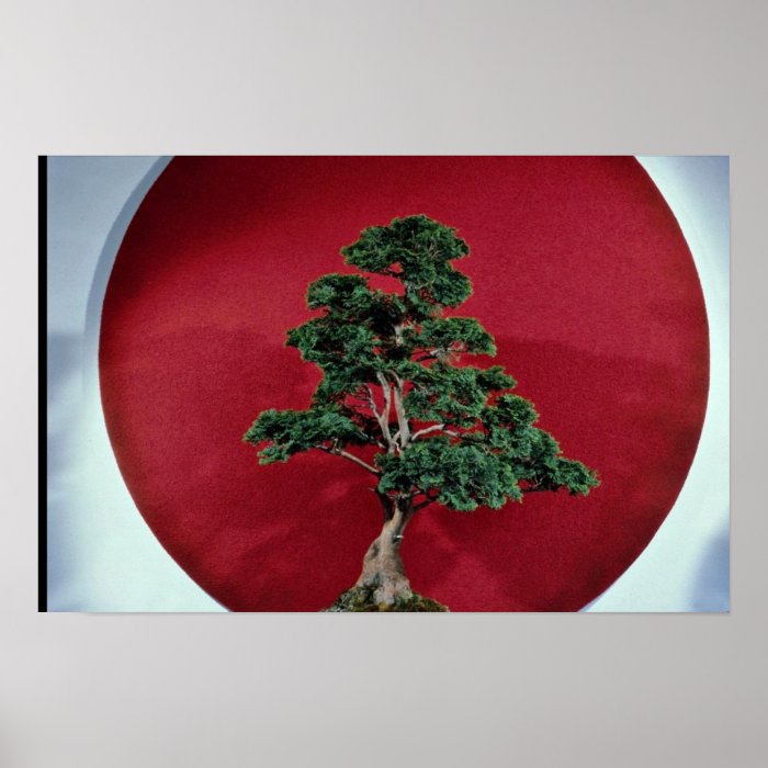 Inspiring Bonsai tree Posters