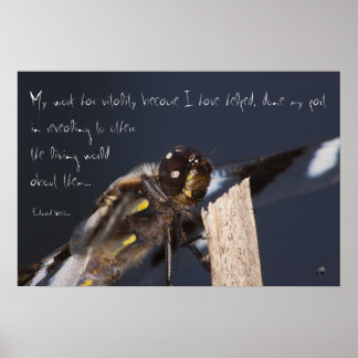 Inspiring Dragonfly Poster