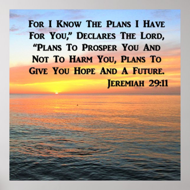 INSPIRING JEREMIAH 29:11 SUNRISE POSTER (Front)
