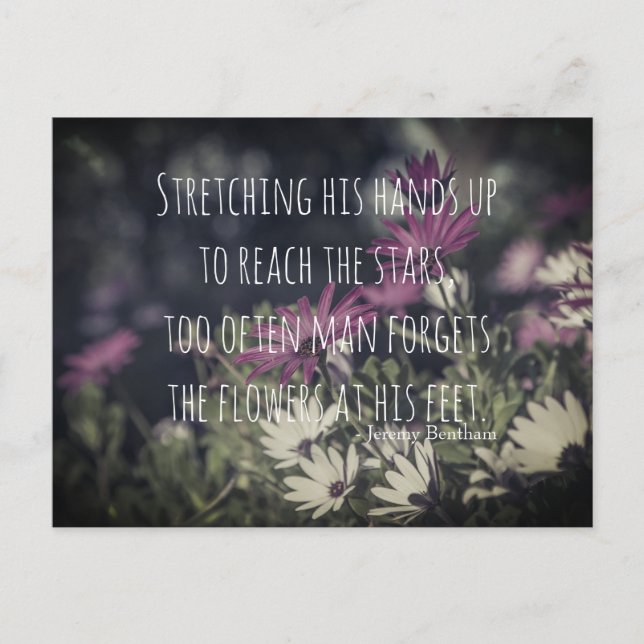 Inspiring Jeremy Bentham Quote Postcard (Front)