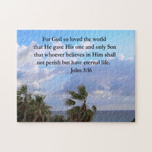 INSPIRING JOHN 316 PHOTO JIGSAW PUZZLE