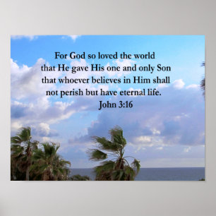 INSPIRING JOHN 3:16 PHOTO POSTER