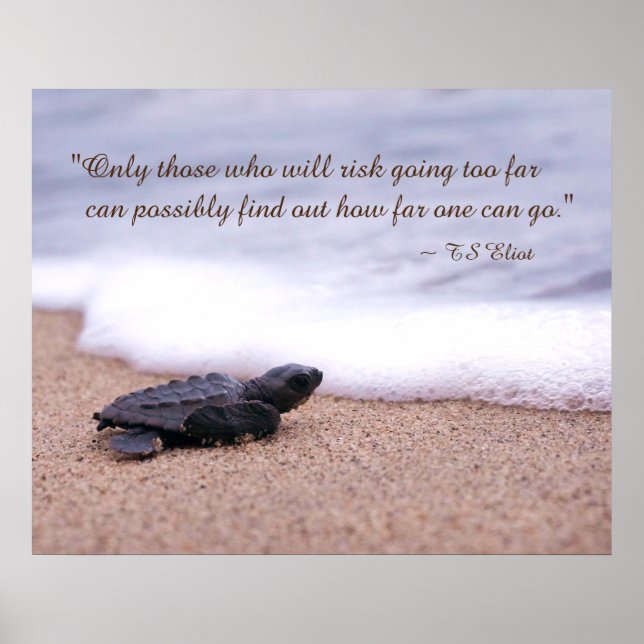 Inspiring Quote Baby Sea Turtle Sand Ocean Poster (Front)