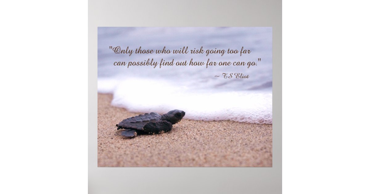 Inspiring Quote Baby Sea Turtle Sand Ocean Poster Zazzle Com