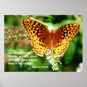 Inspiring Quote Keep in Sunlight Orange Butterfly Poster