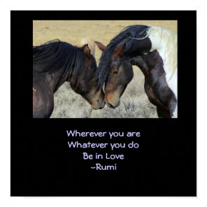 Inspiring Quote. Two Brown Wild Horses Nuzzling Poster