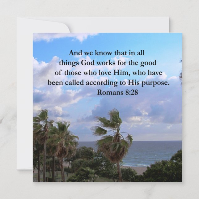 INSPIRING ROMANS 8:28 (Front)