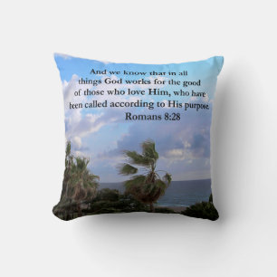 INSPIRING ROMANS 8:28 THROW PILLOW