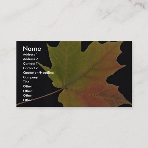 Inspiring Sugar maple leaf Business Cards