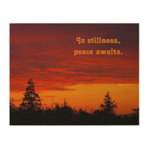 Inspiring wood wall art, sunset, dawn over forest