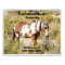 Inspriational Quotes featuring Wild Horses