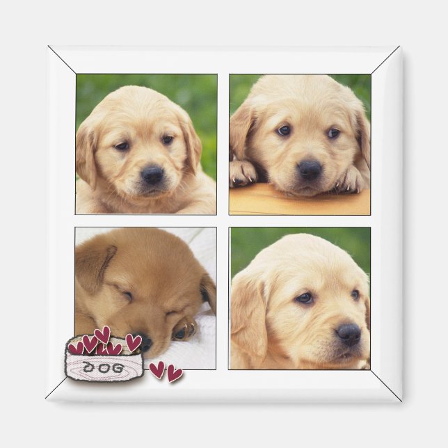 instagram dog photo magnets (Front)