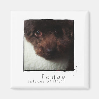 instagram friend photo magnet