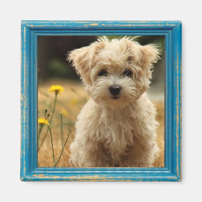 instagram photo magnet (Front)