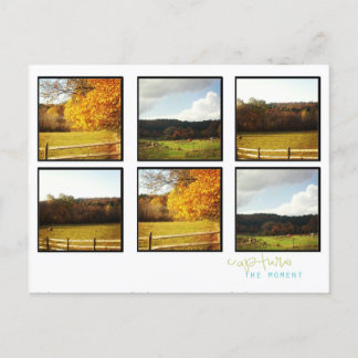 instagram photo post cards