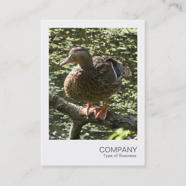 Instant Photo 010 - Happy Duck Business Card (Front)
