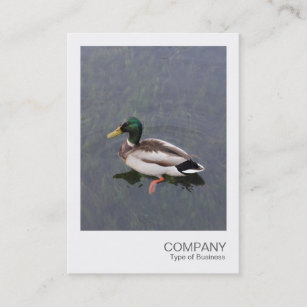 Instant Photo 012 - Mallard Duck Business Card