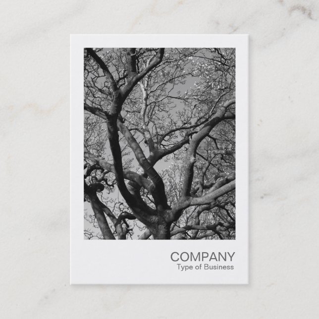 Instant Photo 013 - Branches Business Card (Front)