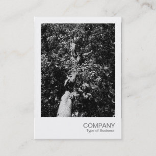 Instant Photo 025 - Plane Tree Business Card