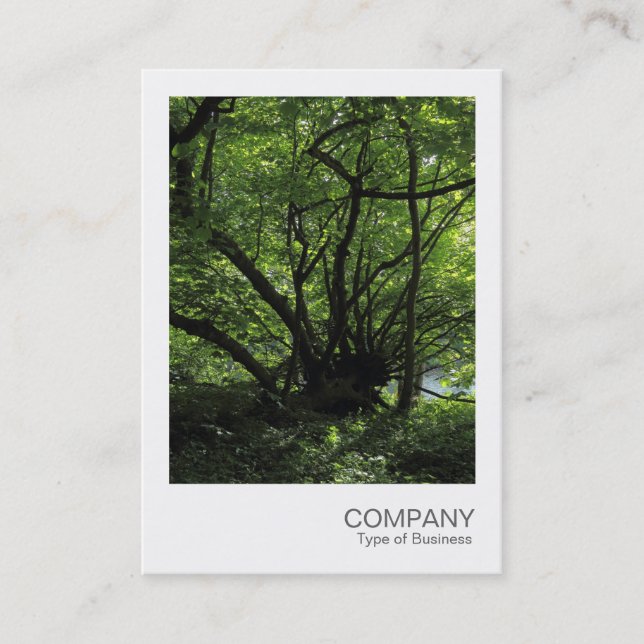 Instant Photo 043 - Unusual Tree Business Card (Front)