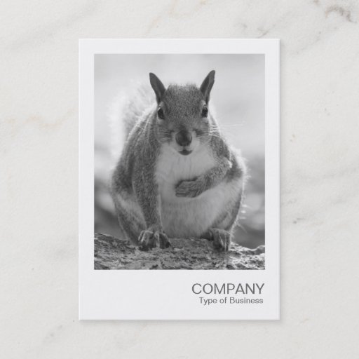 Customizable Instant Photo 045 - Grey Squirrel BW Business Card Template