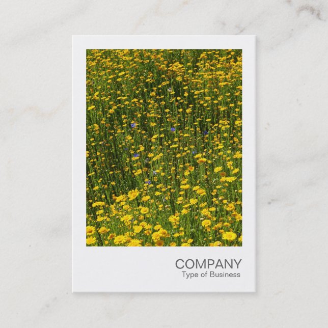 Instant Photo 078 - Bed of Yellow Daisies Business Card (Front)