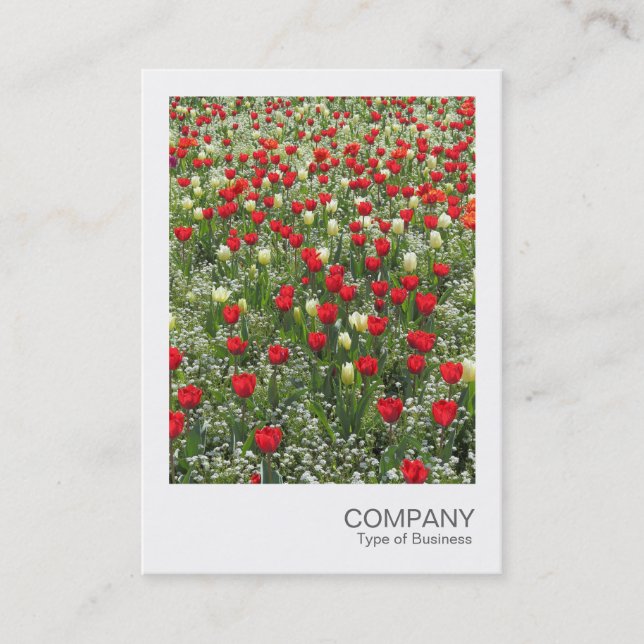 Instant Photo 085 - Bed of Tulips Business Card (Front)