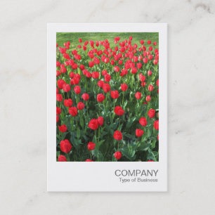 Instant Photo 086 - Bed of Red Tulips 01 Business Card