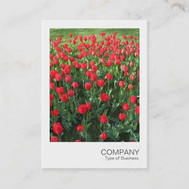 Instant Photo 086 - Bed of Red Tulips 01 Business Card (Front)