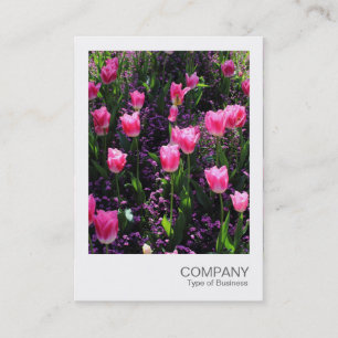 Instant Photo 089 - Bed of Pink Tulips Business Card