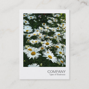 Instant Photo 09 - Shasta Daisy Business Card