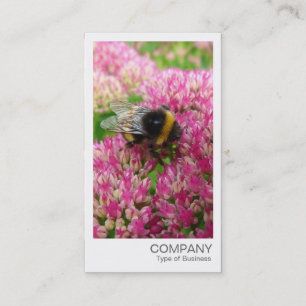 Instant Photo - Bumble Bee on Sedum Business Card