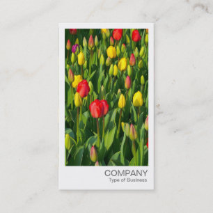 Instant Photo - Colorful Tulips Business Card