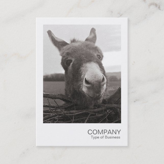 Instant Photo - Friendly Donkey Business Card (Front)