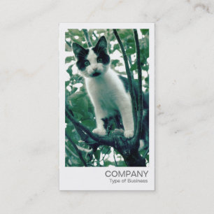 Instant Photo - Kitten in an Apple Tree Business Card