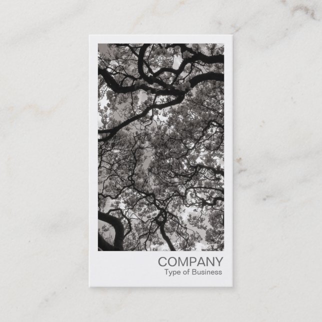 Instant Photo - Magnolia Trees Business Card (Front)