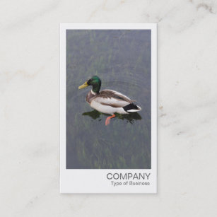 Instant Photo - Mallard Duck Business Card
