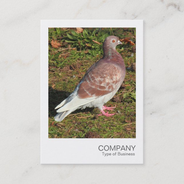 Instant Photo - Pigeon Business Card (Front)
