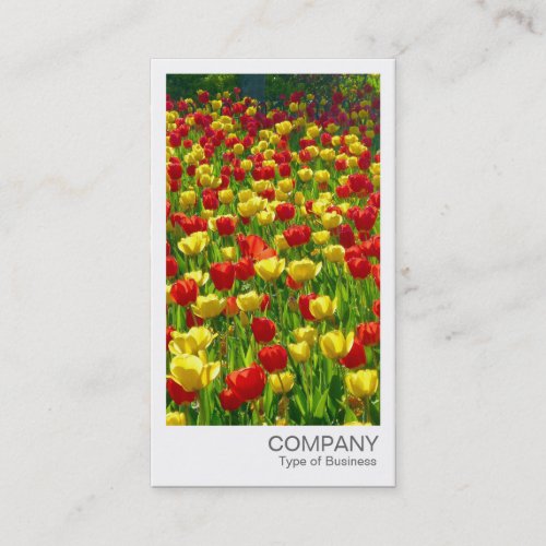 Instant Photo _ Red and Yellow Tulips Business Card