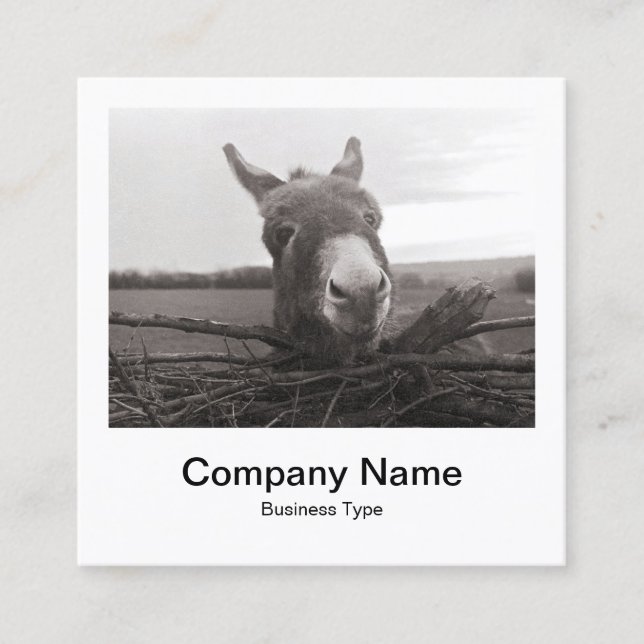 Instant Photo Style - Company - Donkey Square Business Card (Front)